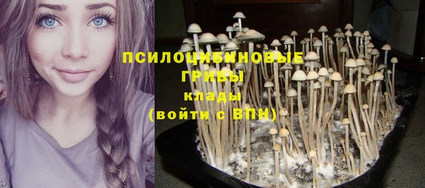 гашиш Надым