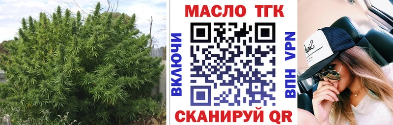 omg сайт  Чадан  Дистиллят ТГК концентрат  купить наркоту 